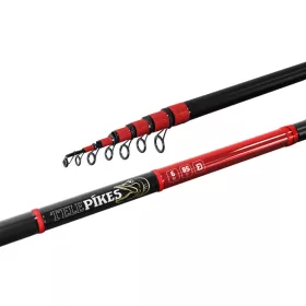 Delphin TELEPIKES 600cm 85gr Canne Télescopique