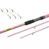 Delphin Queen Canne Feeder + 3pcs Scions / 330cm/100gr/3 Pièces