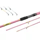 Delphin Queen Canne Feeder + 3pcs Scions / 330cm/100gr/3 Pièces
