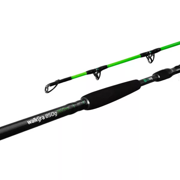 Delphin WALKYRA 330cm Canne à silure 850gr EVA 2