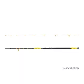 Canne à silure Delphin HAZARD BxG de 255cm, 505g, 2 pièces