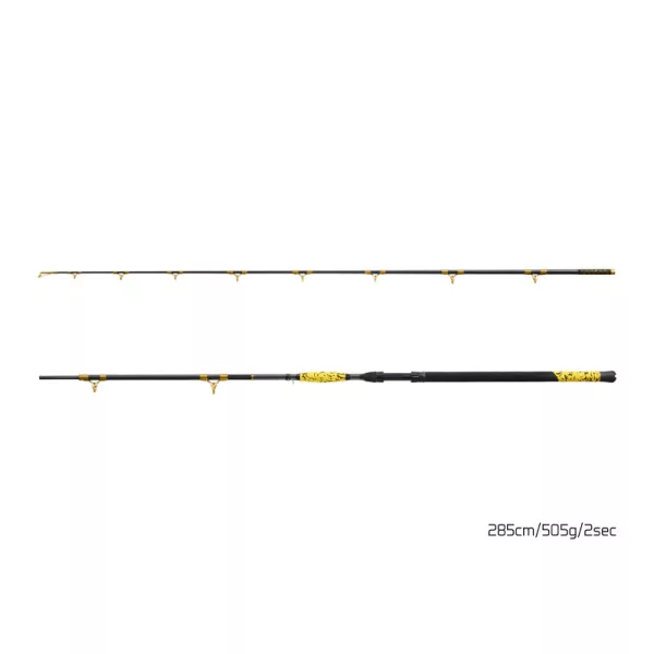 Canne à silure Delphin HAZARD BxG de 285cm, 505g, 2 pièces