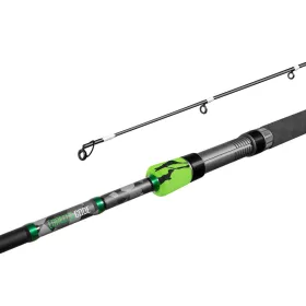 Delphin GreenCODE 240cm/35g/2 sections canne à lancer