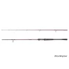 Delphin EXPLOZA HARD 210cm/60g/2 sections canne à lancer