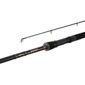 Delphin MURENA 210cm/100g/2 sections canne à lancer