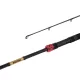 Delphin MURENA POWER 210cm/125g/2 sections canne à lancer