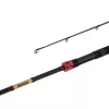 Delphin MURENA POWER 270cm/125g/2 sections canne à lancer
