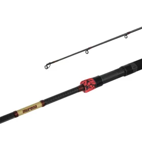 Delphin MURENA POWER 270cm/125g/2 sections canne à lancer