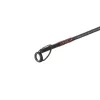 Delphin MURENA POWER 270cm/125g/2 sections canne à lancer