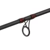 Delphin MURENA POWER 270cm/125g/2 sections canne à lancer