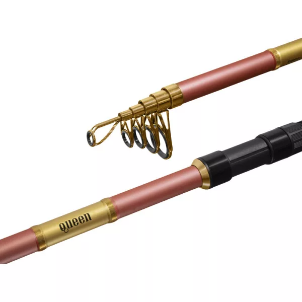 Canne à carpe télescopique Delphin QUEEN Tele 300cm/100g