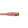 Canne à carpe télescopique Delphin QUEEN Tele 300cm/100g