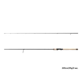 Delphin Scandal Spin 2,20m 25gr Canne spinning 2 brins