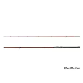 Delphin Amulet Spin 2,10m 30gr Canne spinning 2 brins