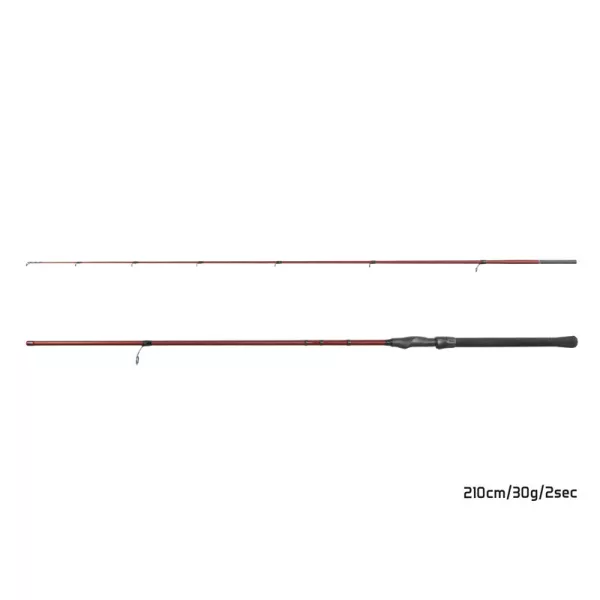 Delphin Amulet Spin 2,10m 30gr Canne spinning 2 brins