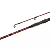 Delphin Amulet Spin 2,10m 30gr Canne spinning 2 brins