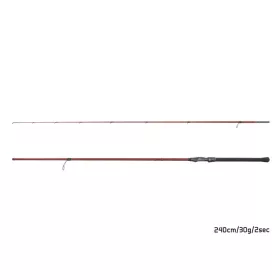 Delphin Amulet Spin 2,40m 30gr Canne spinning 2 brins