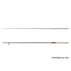 Delphin Corx Spin Hard 2,40m 50gr Canne spinning 2 brins