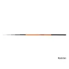 Delphin Inferno Pole 6m Canne télescopique