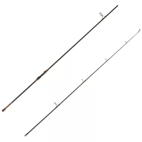 Canne à carpe 2 brins Delphin Impala Carp V3 3,80m