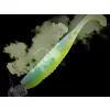 Spray d'arôme transparent Delphin Stinx Huître 30ml
