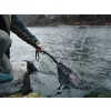 Delphin FoldSpin Épuisette de Pêche au Lancer 40x40cm