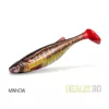 Delphin Realix 3D Minnow 13cm Leurre souple 2pcs