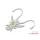 Delphin B! Stinx Nympha Pearl 2,5cm Leurre 20 pièces