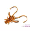 Delphin B! Stinx Nympha Fruity 2,5cm Leurre 20 pièces