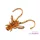 Delphin B! Stinx Nympha Fruity 2,5cm Leurre 20 pièces