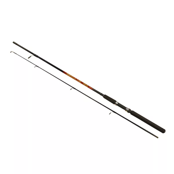 Arno Regulus Rod 1,98m 10-30gr Canne à Pêcher au Lancer 2 Pièces