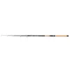 Kamasaki TELE POWER Canne à pêche Télescopique 300cm 40-80g - Liège