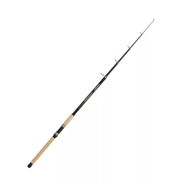 Kamasaki TELE POWER Canne à pêche Télescopique 300cm 50-100g - Liège