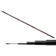 Carp Expert Evolution Power Pole 4m Canne à coup