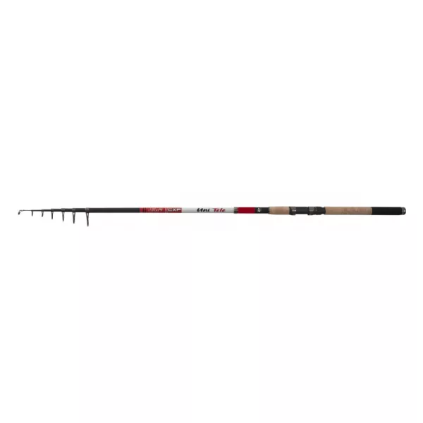Canne à pêche télescopique CarpExpert Uni Tele 300cm 30-80gr - Liège EVA