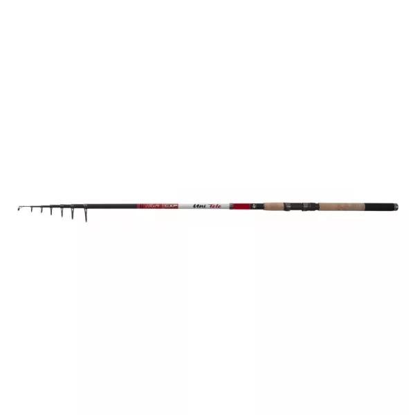 Canne à pêche télescopique CarpExpert Uni Tele 330cm 80-120gr - Liège EVA