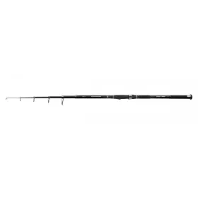 Canne Carp Expert Advancer Tele 40-80G 3,30M