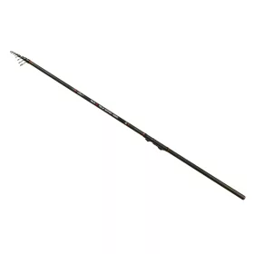 Carp Expert Max2 4,00m 5-25gr Canne Télé-match 4 Pièces