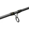 Delphin RIVER Trophy canne feeder + 4 scions 300cm/160g