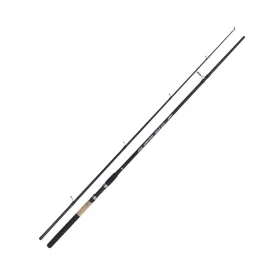Kamasaki Big Fish 3,00m 40-80gr canne à silure en 2 pièces