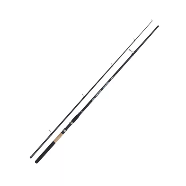 Kamasaki Big Fish 3,00m 100-200gr Canne à silure 2 Pièces