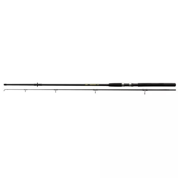 NEVIS Windstorm 300 50-100g Canne à lancer