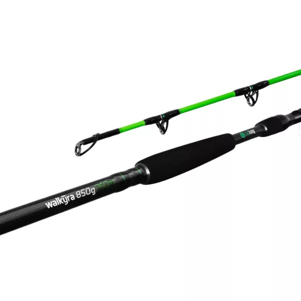 Delphin Walkyra 3,00m 850gr Canne à silure 2 pièces