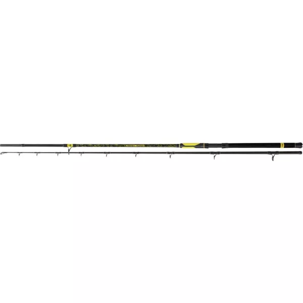 Black Cat 3,00m Perfect Passion XH-S Testcurve : 600g S : 462g - Canne à silure