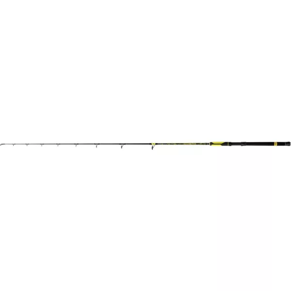 Black Cat 2,10m Perfect Passion Allstar Testcurve: 200g S: 300g - Canne à silure