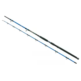   Wizard Cat Pro Power 2 pièces 600-800gr 3,00m Canne à silure