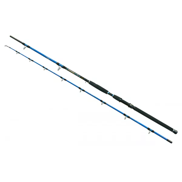Wizard Cat Pro Power 2 pièces 600-800gr 3,00m Canne à silure
