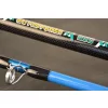 Wizard Cat Pro Power 2 pièces 600-800gr 3,00m Canne à silure