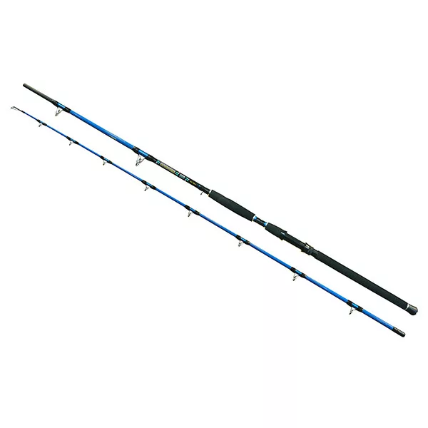 Wizard Cat Pro Power 2 pièces 800-1000gr 3,00m Canne à silure