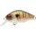 Rapture Pro BB Crank 05 F LBB 4,5cm 7gr Leurre